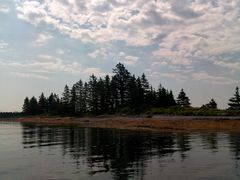 Trees and a lake