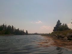 River with trees in the background