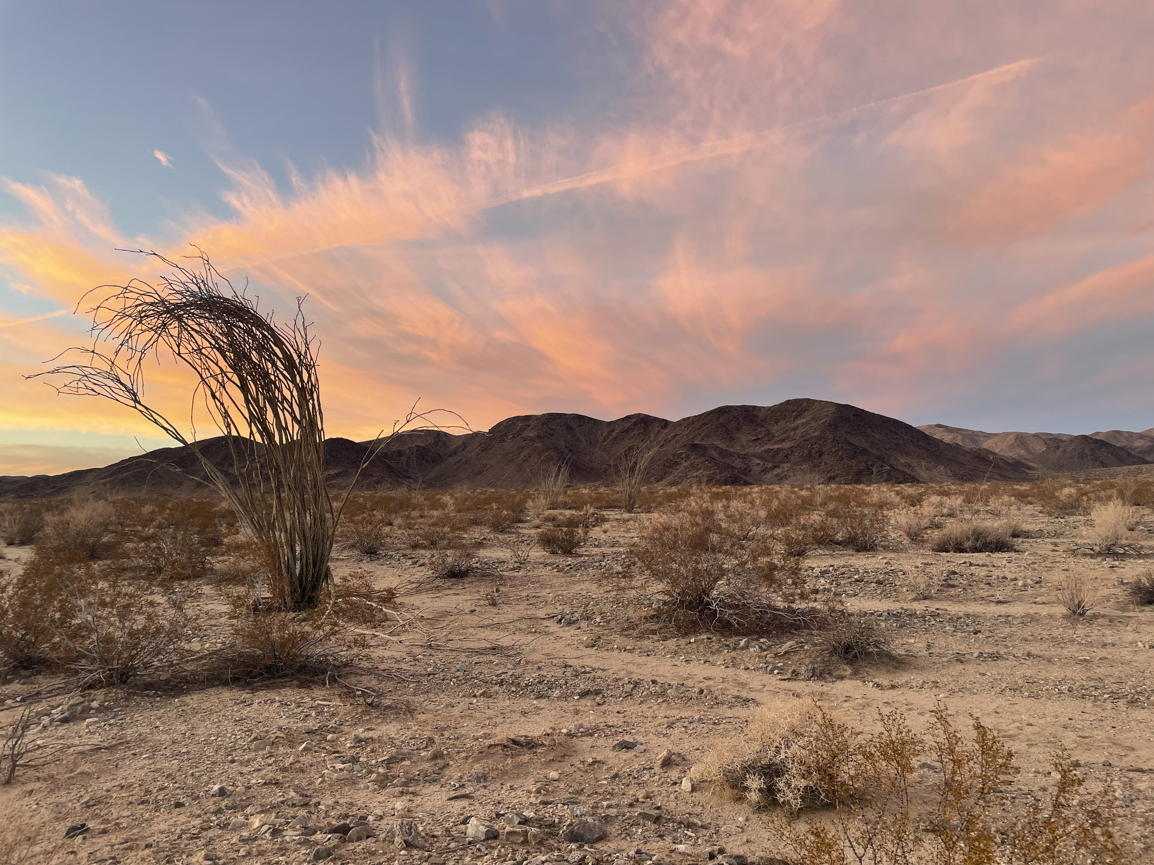 Sunset with desert landscape