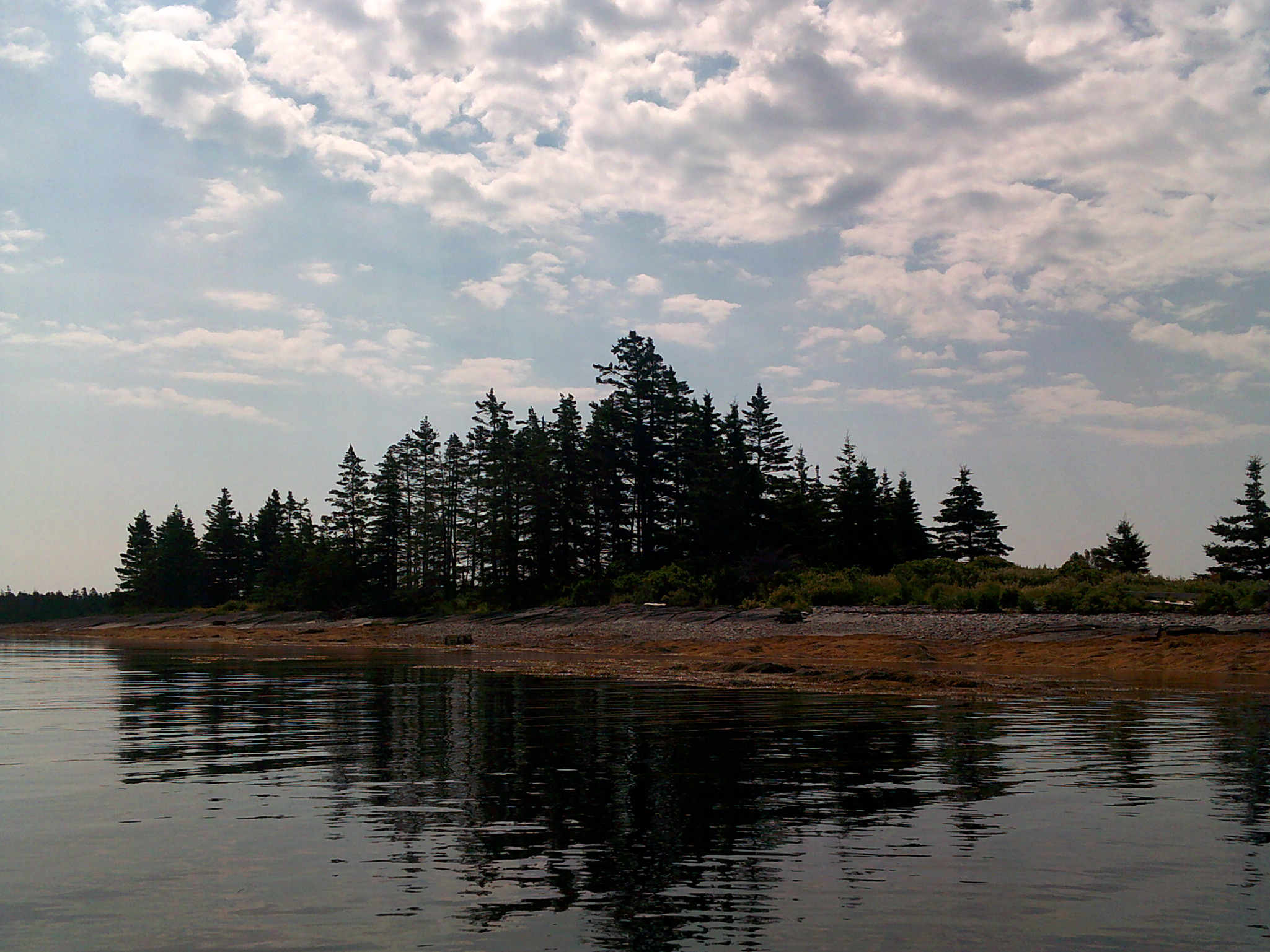 Trees and a lake