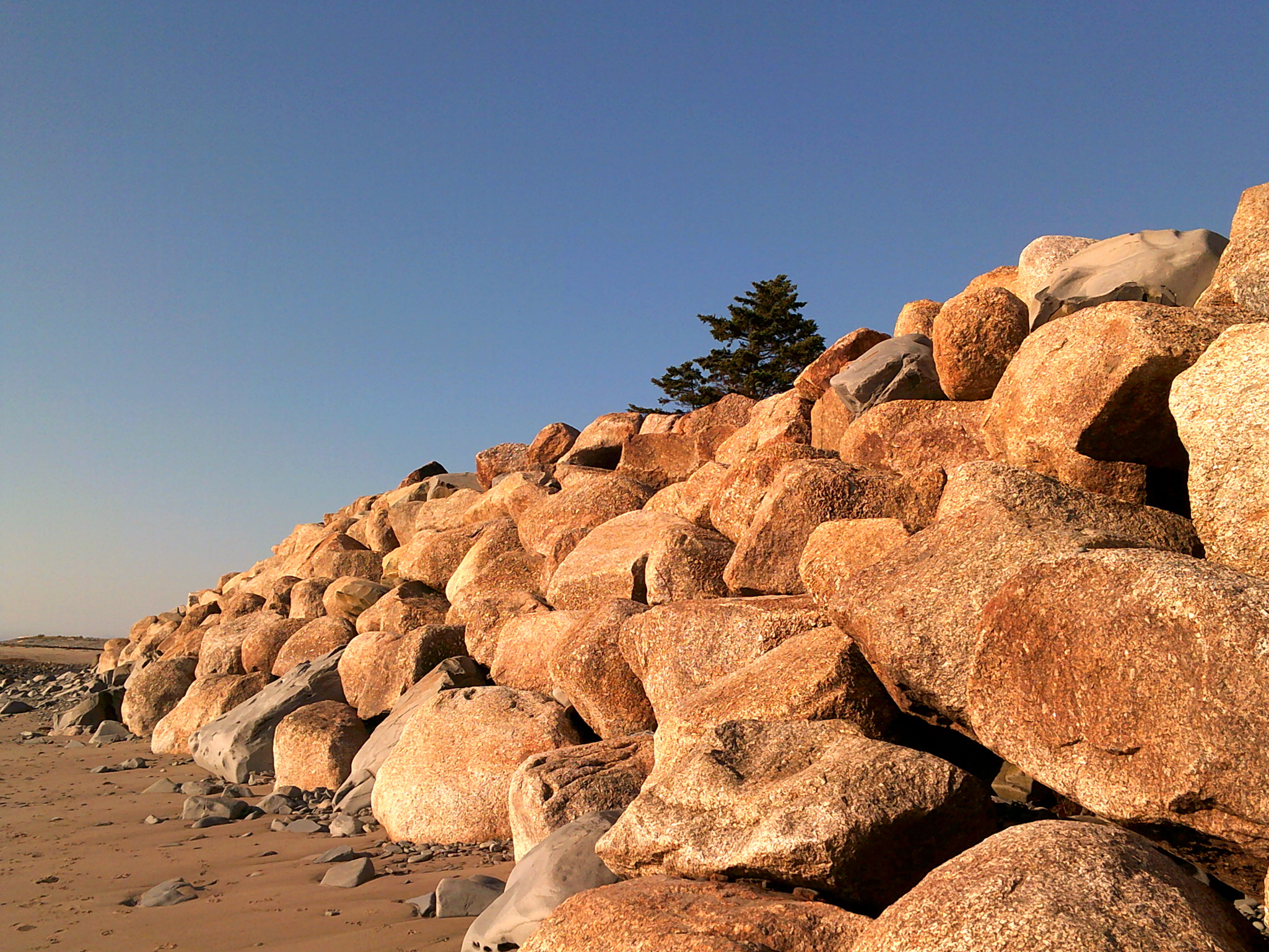 Pine tree at the top of rocks